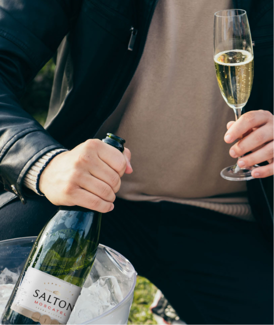 um prato com uma parmegiana, batata frita e arroz